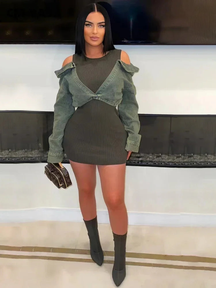 Full Sleeve Knit Mini Dress 2025